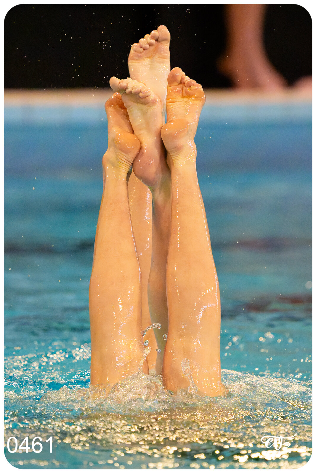 CHAMPIONNAT DE FRANCE DE NATATiON ARTISTIQUE N1 & ELITE 2026